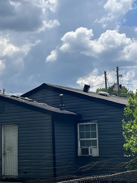 3120 Lower Wetumpka Rd: photo 4