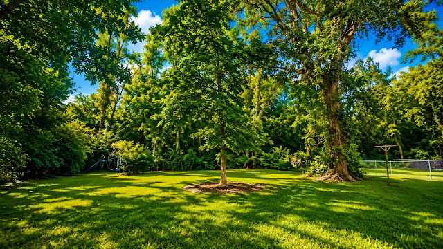 314 Clubview Dr: photo 6
