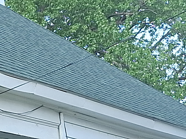 417 N Anderson St — photo 13