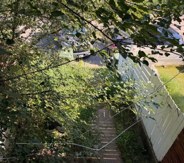 1325 Minefee St — photo 12