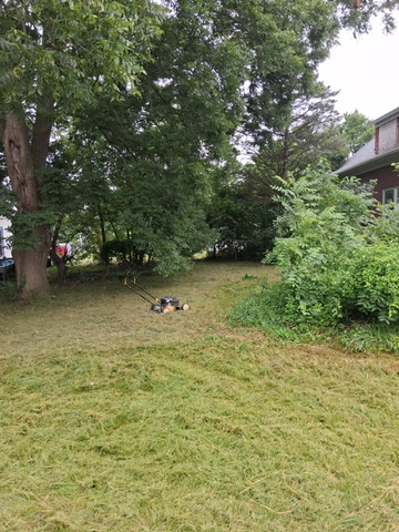 330 S Madison St — photo 19