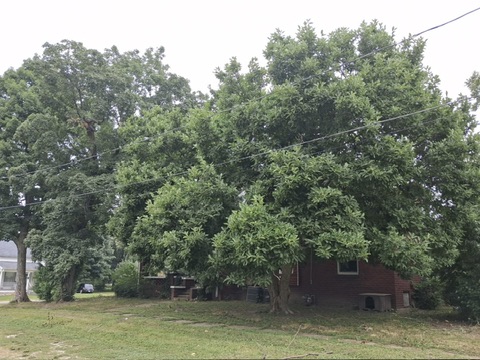 330 S Madison St — photo 21