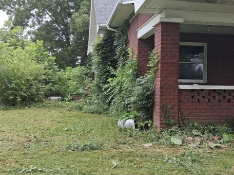 330 S Madison St — photo 17