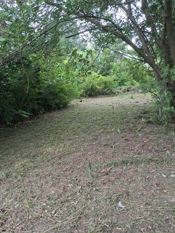 330 S Madison St — photo 4