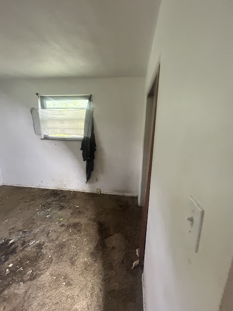 907 Frontenac St: photo 17