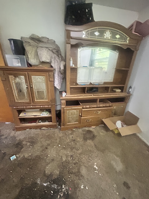 907 Frontenac St: photo 28