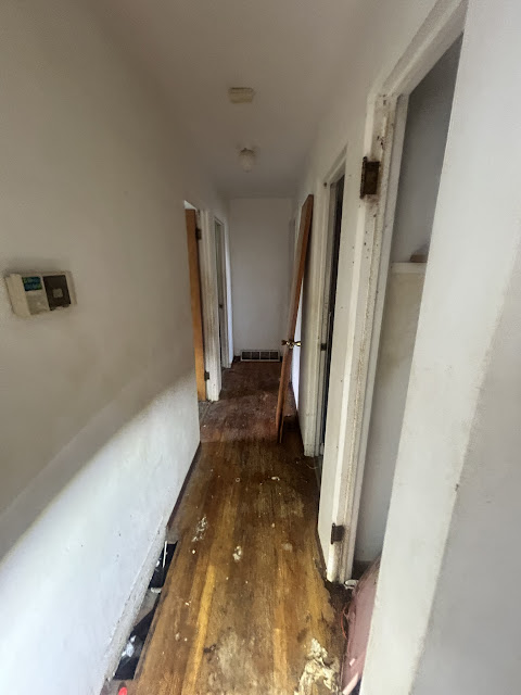 907 Frontenac St: photo 12