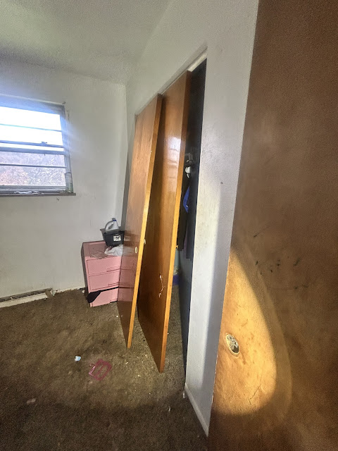 907 Frontenac St: photo 21