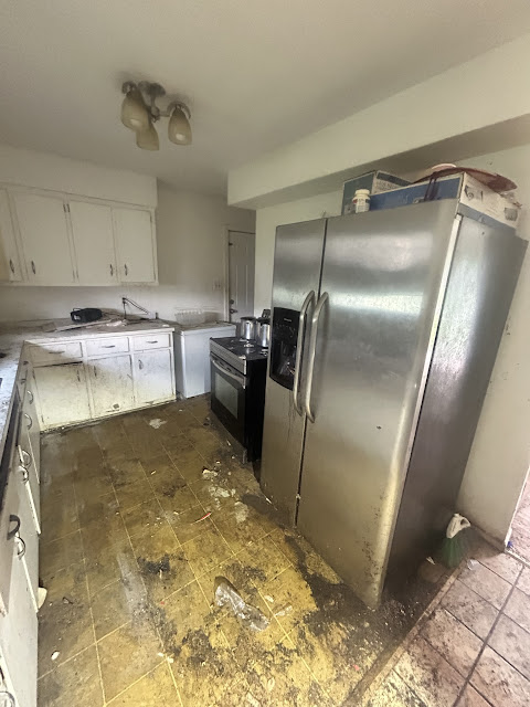 907 Frontenac St: photo 11