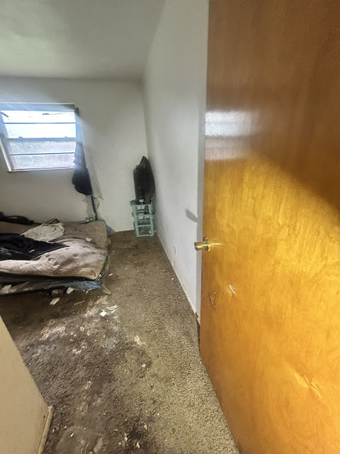 907 Frontenac St: photo 15
