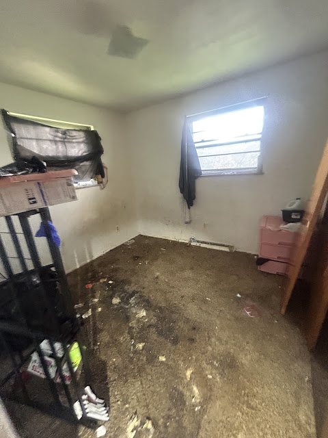 907 Frontenac St: photo 29