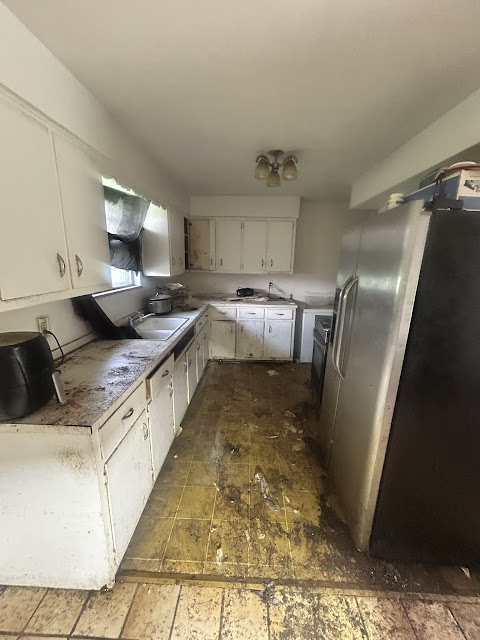 907 Frontenac St: photo 10