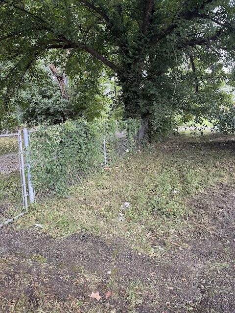 5050 Hallows Ave E — photo 29