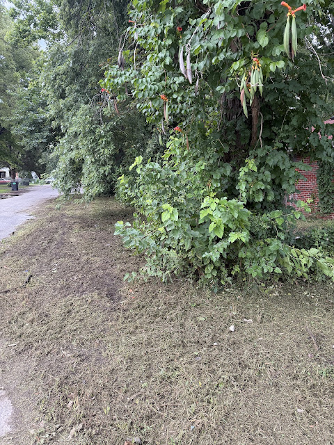 5050 Hallows Ave E — photo 31