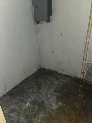 1039 Gimblin St: photo 18
