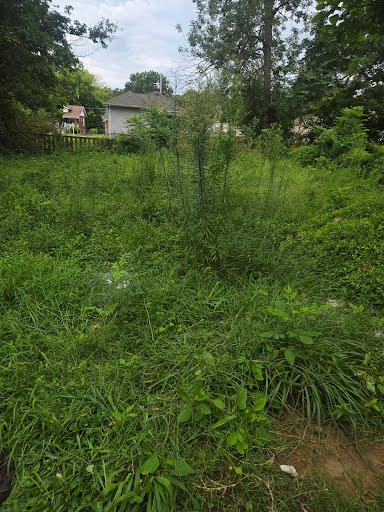 1279 Purcell Ave — photo 8
