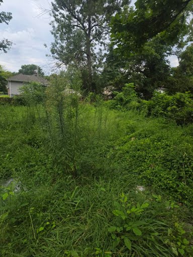 1279 Purcell Ave — photo 28