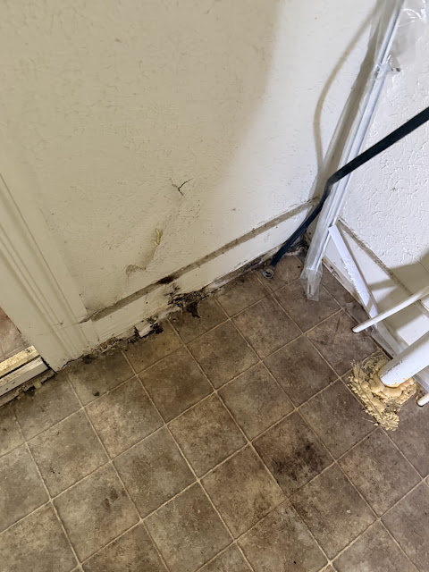 334 Church St — photo 35