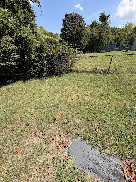 334 Church St — photo 56