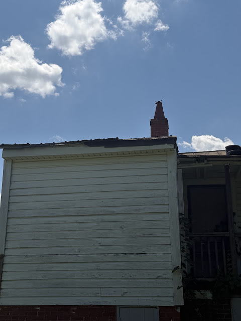334 Church St — photo 60