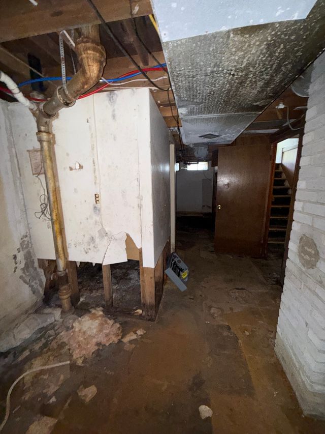 3909 Seneca St — photo 34