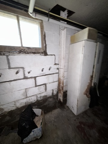 336 Goulding St — photo 22
