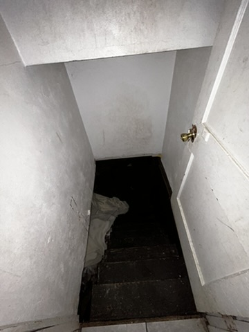 819 Elias Ave — photo 16