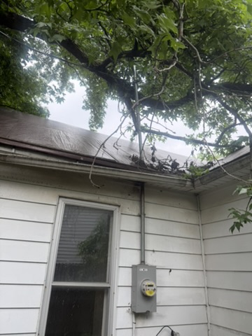 707 N Madison St — photo 6