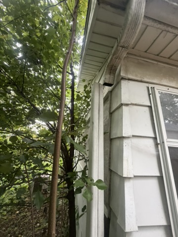707 N Madison St — photo 30