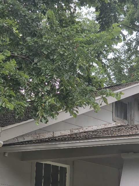 712 W Waggoner St — photo 57