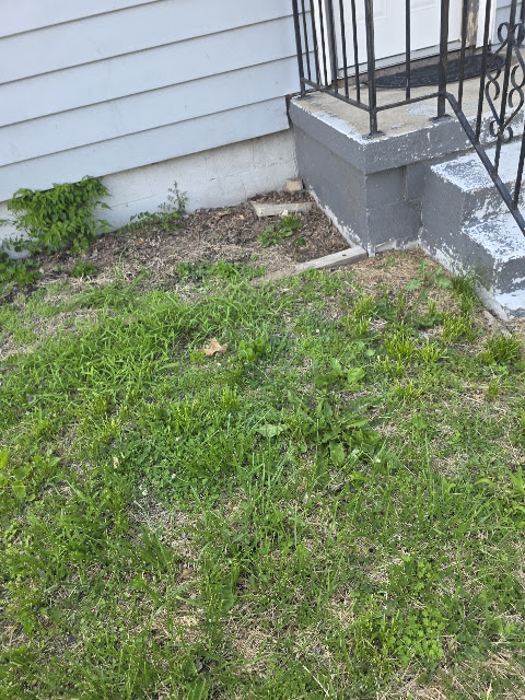 801 S 21st St — photo 51
