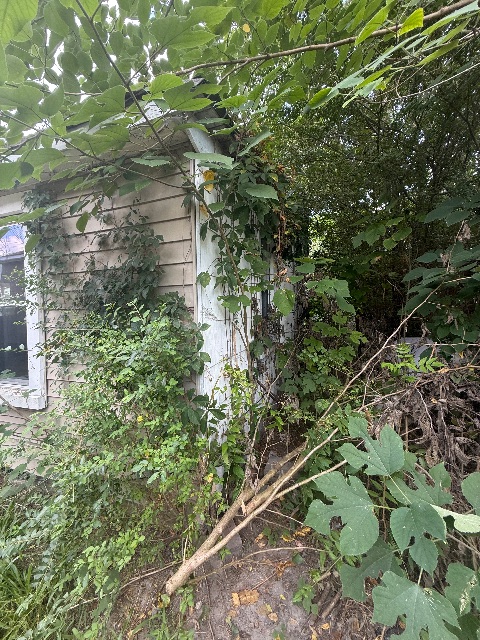 541 Wilson St — photo 5