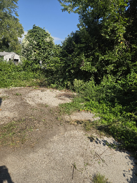 3422 Lucas And Hunt Rd — photo 49