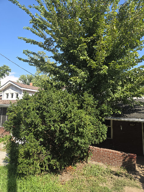 3422 Lucas And Hunt Rd — photo 47
