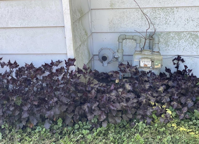 209 Central Ave: photo 9