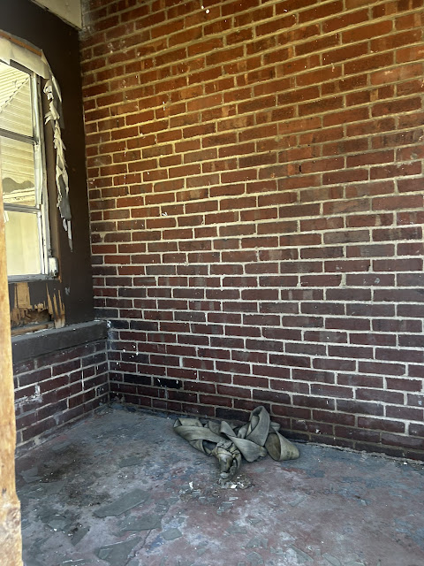 556 Wimmer Pl: photo 26