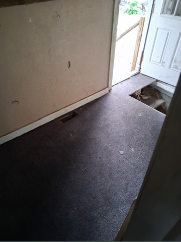 46 Eckhard Ave: photo 8