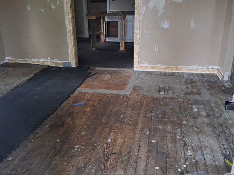 46 Eckhard Ave: photo 17