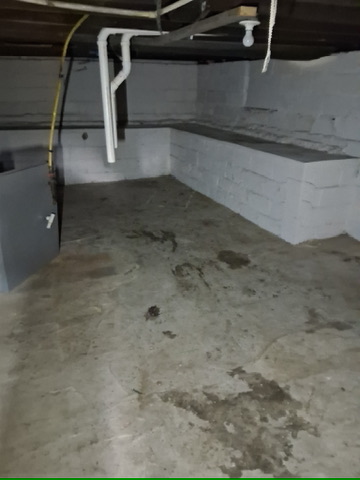 46 Eckhard Ave: photo 7