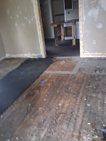 46 Eckhard Ave: photo 29