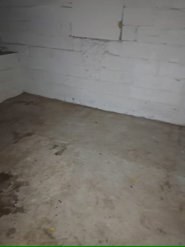 46 Eckhard Ave: photo 23