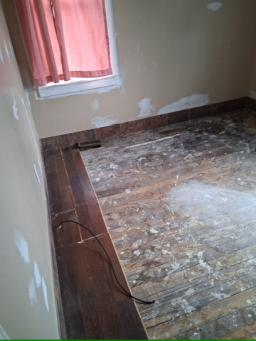 46 Eckhard Ave: photo 13
