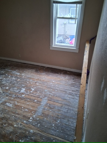 46 Eckhard Ave: photo 27