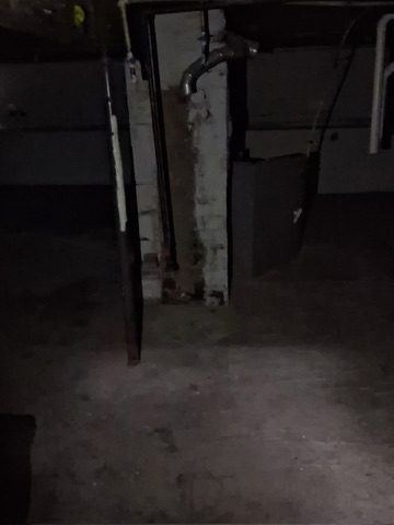 46 Eckhard Ave: photo 32