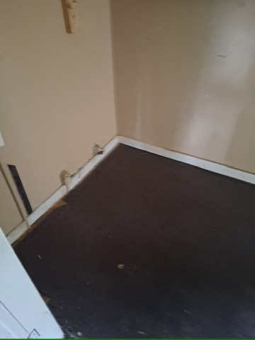 46 Eckhard Ave: photo 24