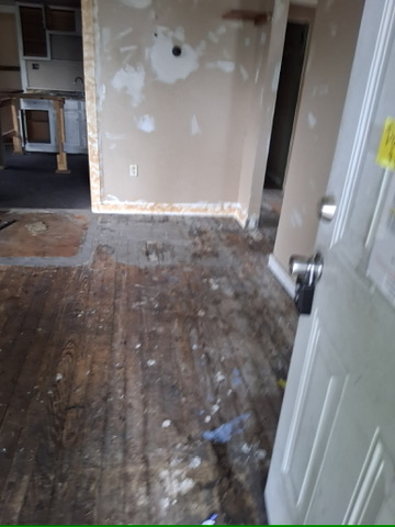 46 Eckhard Ave: photo 28