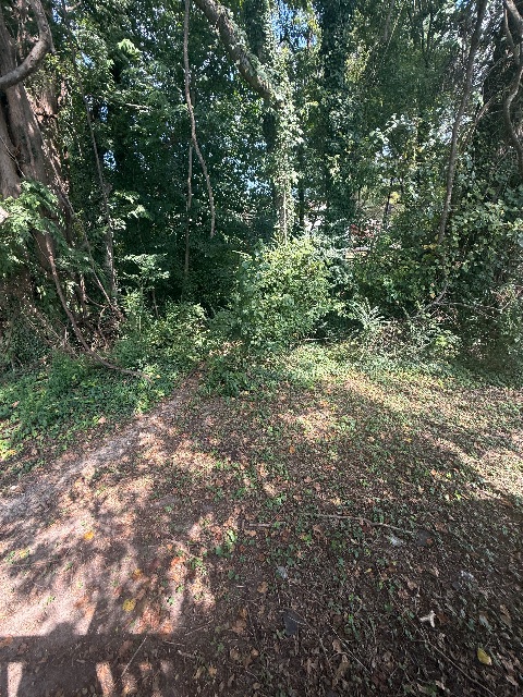 312 Hollywood Ave — photo 4