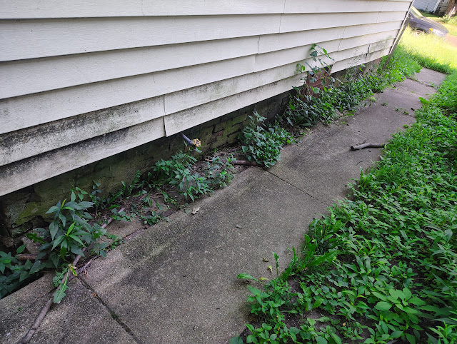 2210 W Wiswall St — photo 19