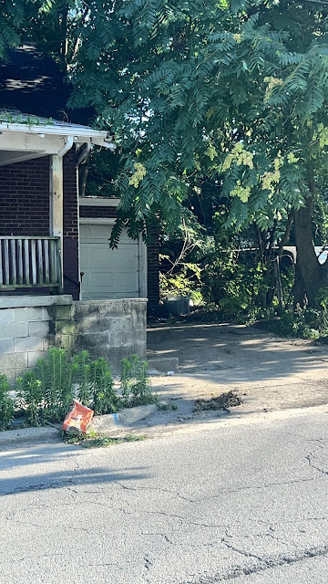 231 W Grand Ave — photo 50