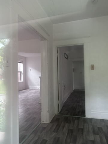 4627 Korte Ave: photo 54